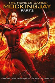 The Hunger Games Mockingjay Part 2 (2015) Hindi Dubbed