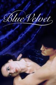 Blue Velvet (1986) Hindi Dubbed