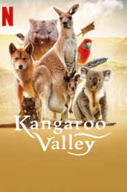 Kangaroo Valley 2022 Hindi Dubbed